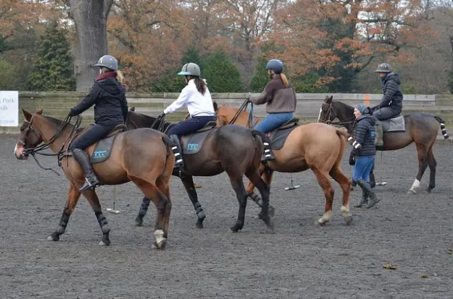 Aulas de polo e cavalgada em Surrey: Aprenda com treinadores da HPA