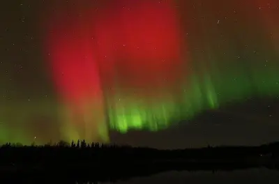 Tour delle aurore boreali a Fairbanks: Fotografia in piccolo gruppo