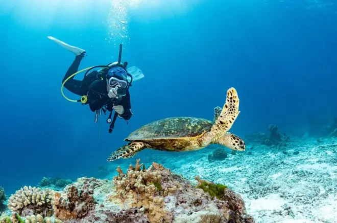 Immersione certificata a Koloa Landing con tartarughe marine