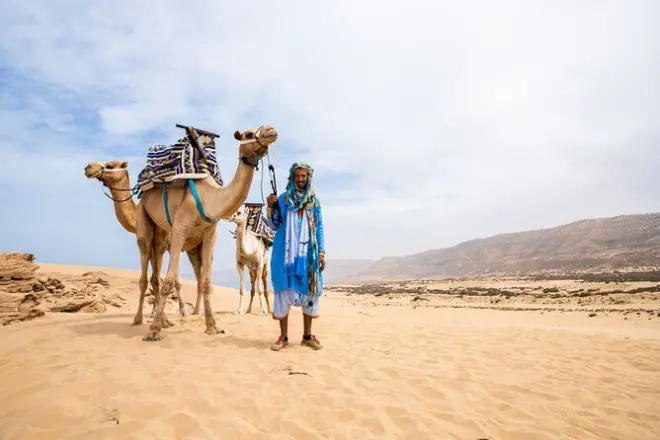 Sunset Camel Ride Agadir: Private with Dinner