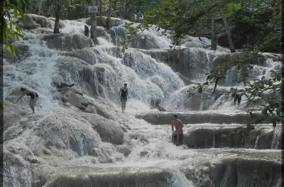 Ziplining über Dunn's River Falls ab Kingston: Eintritt inklusive
