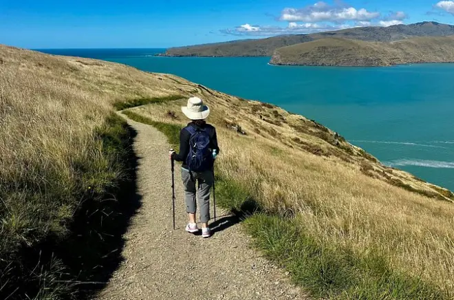 Godley Head da Christchurch: Camminata privata costiera di 4 km