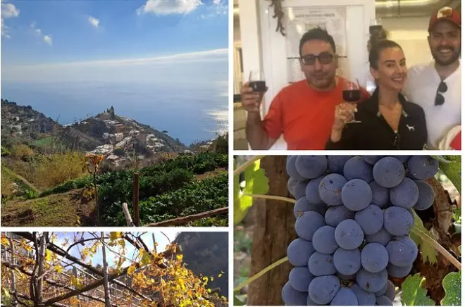 Da Positano: Escursione a Montepertuso con degustazione vini