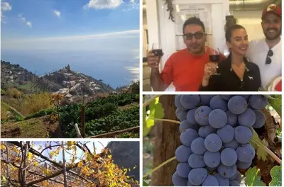 Wine trails from Positano: Montepertuso hike with tasting