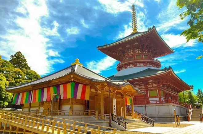 Naritasan Shinshoji Temple walk from Narita Station with guide