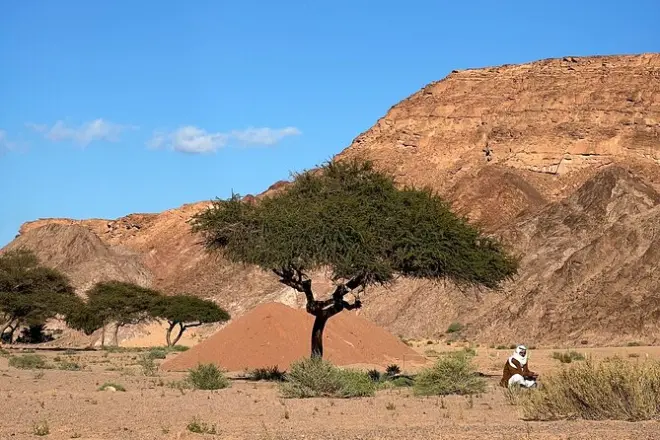 Vallées du Sinaï à Dahab avec guide privé et baignade en montagne