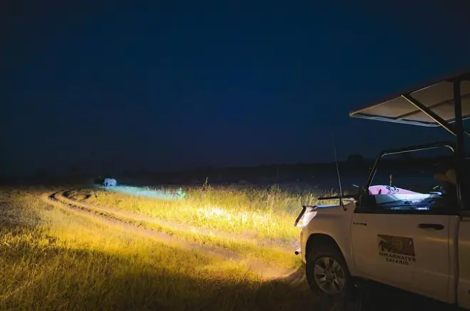 Safari noturno no Zambezi: Vida selvagem e jantar