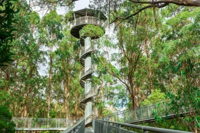 Otway Fly: Passerella sospesa di 600 m nella foresta pluviale