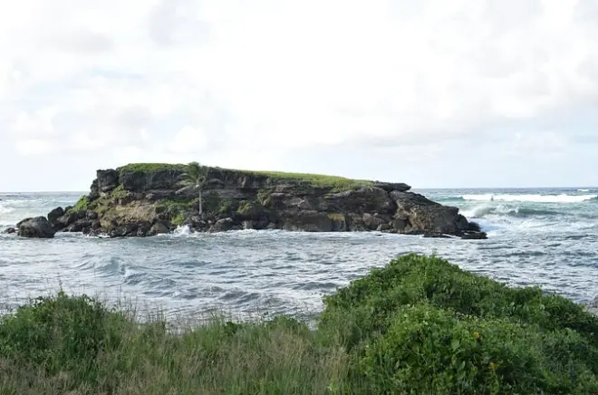 Isola di Culpepper e Bottom Bay: Tour privato sulla costa est