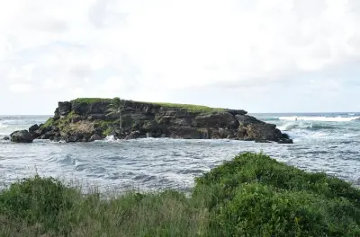 Ilha Culpepper e Bottom Bay: Tour privado na costa leste