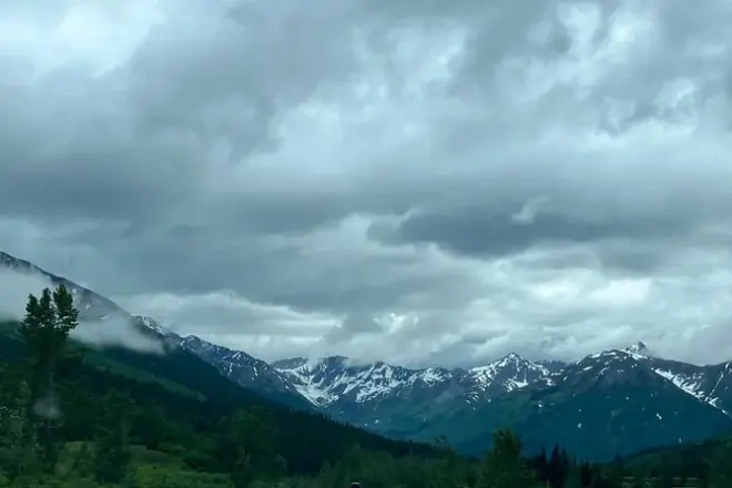 De Seward a Anchorage: Glaciar, fauna y Beluga Point en un día