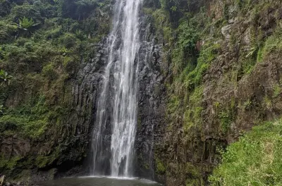 Kilimandjaro : Cascade, ferme de café et sources chaudes en 1 jour