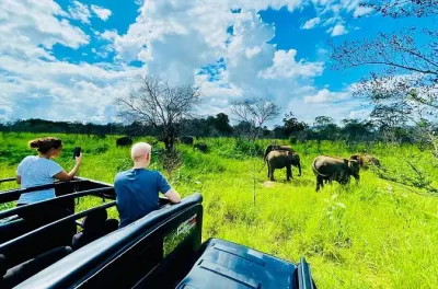 Private Safari ab Pasikudah im Yala-Nationalpark mit Leopardensicht