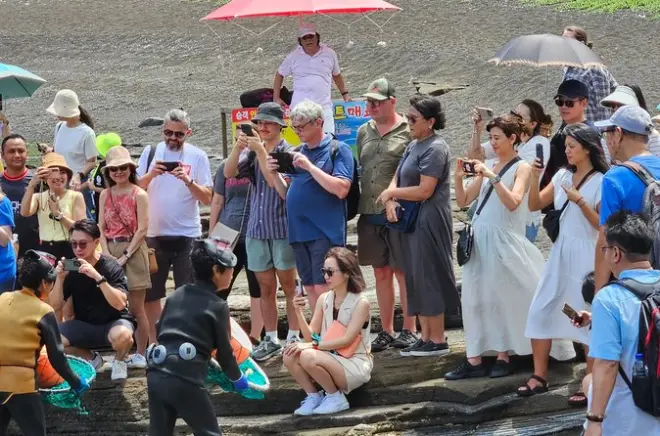 Private Tour Ost-Jeju UNESCO: Wählen Sie Ihren Guide