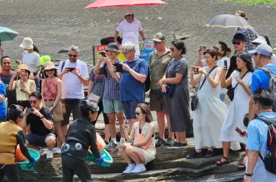 Private Tour Ost-Jeju UNESCO: Wählen Sie Ihren Guide