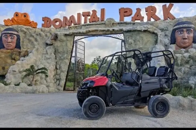 Ziplining in Punta Cana: 9 Activities with Horses, Buggy & Lunch