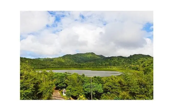 Grenada Halbtages-Tour: Schokolade, Grand Etang & Adelphi Falls