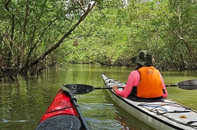 Kayak à Paraty : Baie et mangroves avec guide certifié