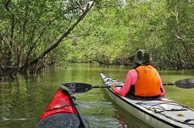 Kayaking in Paraty: Bay & mangroves with certified guide