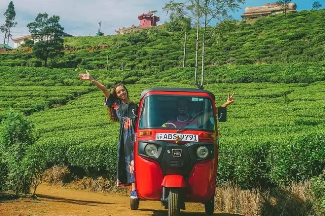 Jardins de thé et cascades de Nuwara Eliya en tuk-tuk