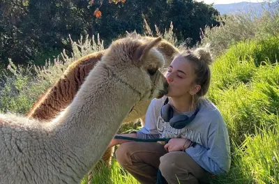 Alpaca Walking Adventure in Carmel Valley: One-Mile Hike