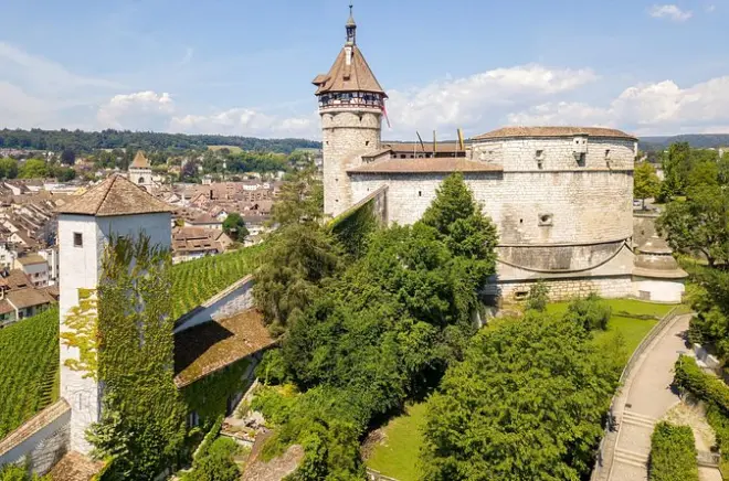 Cascate del Reno e Stein am Rhein con guida privata da Zurigo