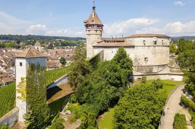 Cataratas do Reno e Stein am Rhein: Tour privado de um dia saindo de Zurique