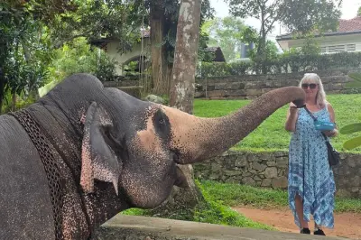 Kandy Full Day Tour: Private with Elephant Village & Tea Factory