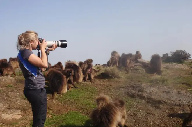 Montanhas Simien: Subida ao Mt. Buahit e avistamento de lobos