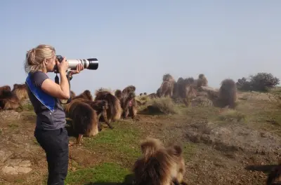 Simien Mountains Trek: Climb Mt. Buahit & Spot Wolves