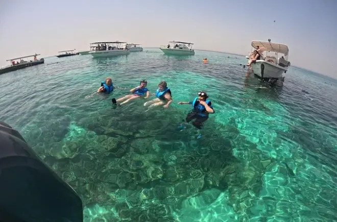 Snorkeling aux îles Dimaniyat depuis Mascate : Aventure partagée