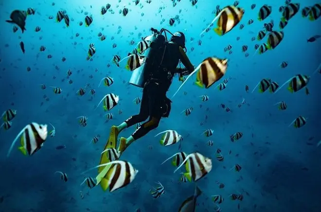 Immersioni subacquee per principianti a Koloa Landing, Kauai