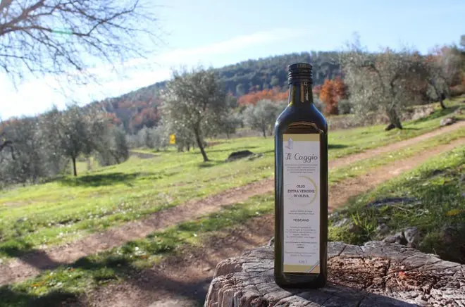 Degustação de azeite toscano e almoço em Siena com produtor local