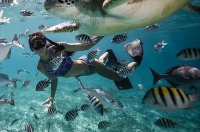 Schnorcheltour Gili Islands: Privates Boot, 3 Riffe