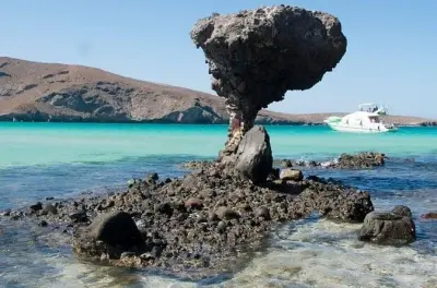 La Paz depuis Cabo San Lucas : Plage Balandra et Todos Santos