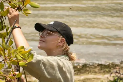 Nusa Lembongan: Explora y planta árboles en manglares reforestados