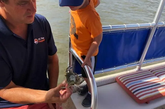 Cattura dei granchi a Ocean City: Prendi e tieni con le tue mani