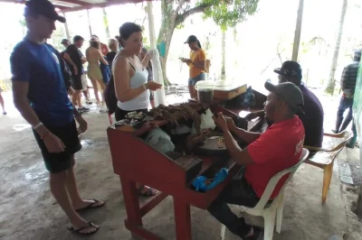 Experience a full-day punta cana safari tour with river lunch, macao beach visit, local markets, and real dominican culture. hotel pickup included.