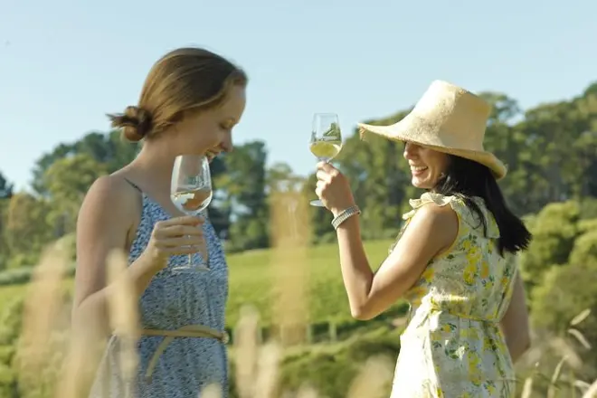 Yarra Valley tour from Melbourne: Wine, cheese & kangaroos