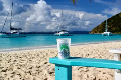 Charter privato per Jost Van Dyke su catamarano a motore da 9,7 m
