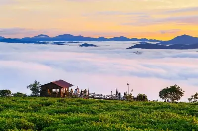 Da Lat Cloud Hunting Tour: Tea Hills & Mountain Sunrise