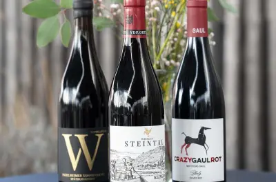 Weinverkostung in Michelstadt: Fünf regionale Weine, 1,5 Stunden