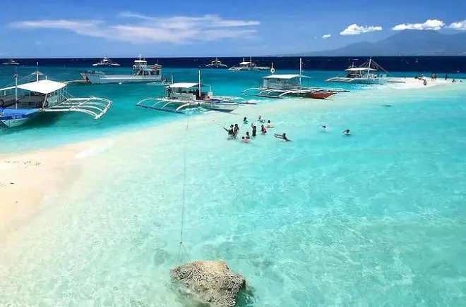 Snorkeling with whale sharks in Sumilon Island from Oslob