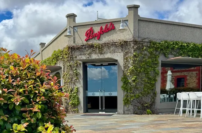 Tour vini Adelaide Hills: Penfolds, Nepenthe e pranzo