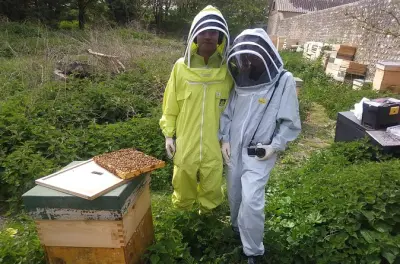 Corso di apicoltura nel Sussex: Indossa la tuta e visita l'alveare