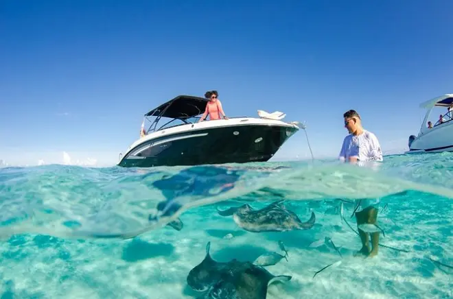 Snorkeling at Stingray City, Grand Cayman: Private Boat Charter