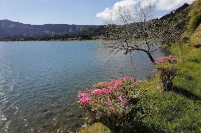 Furnas Tour from Ponta Delgada: Volcano, Baths, Tea Factory