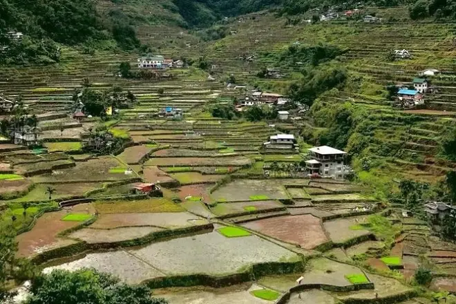 7-day Northern Philippines tour: Banaue, Batad, Sagada private