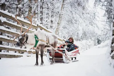 Snowmobile Safari and Reindeer Farm Visit in Rovaniemi