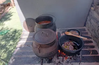 Dîner au vignoble près de Peso da Régua : Cuisson au feu et vins